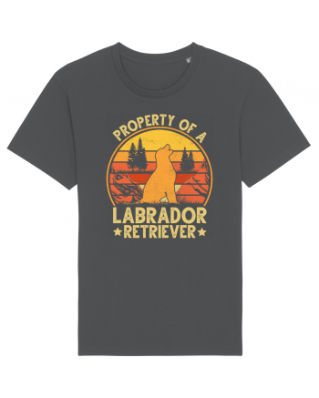 PROPERTY OF A LABRADOR RETRIEVER Anthracite