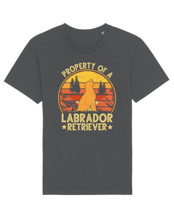 PROPERTY OF A LABRADOR RETRIEVER Anthracite