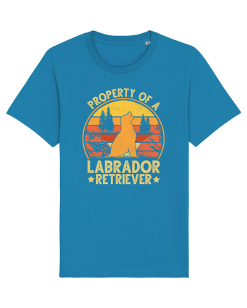 PROPERTY OF A LABRADOR RETRIEVER Azur