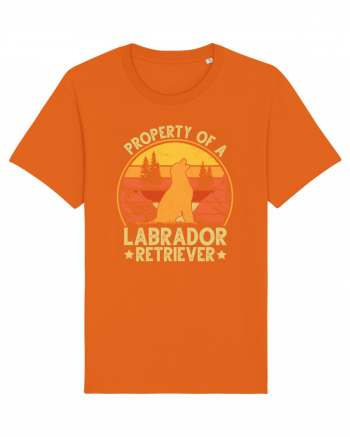 PROPERTY OF A LABRADOR RETRIEVER Bright Orange