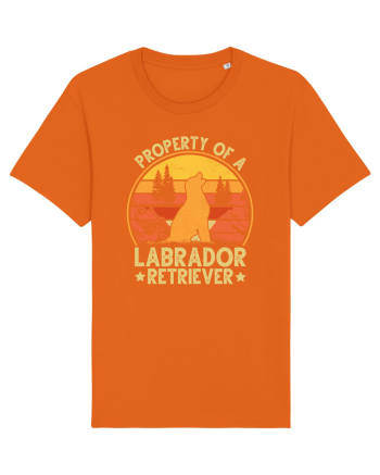 PROPERTY OF A LABRADOR RETRIEVER Bright Orange
