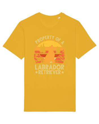 PROPERTY OF A LABRADOR RETRIEVER Spectra Yellow