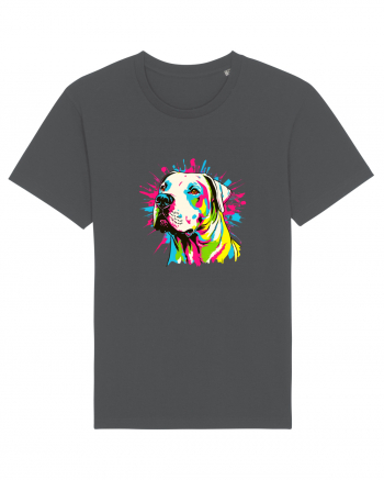 Dogo Argentino Pop Art Anthracite