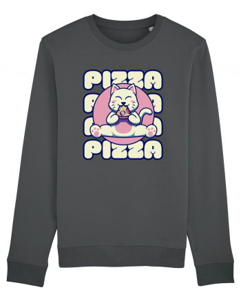 Cute kawaii cat eating pizza Anthracite