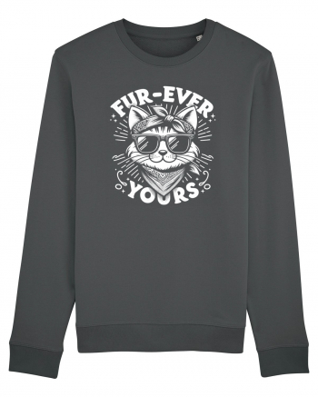 Furever yours - pisica cool Anthracite