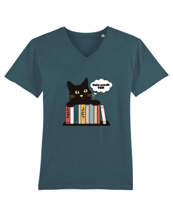 Bookish cat Stargazer