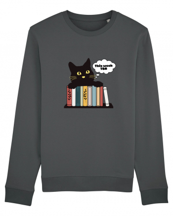 Bookish cat Anthracite