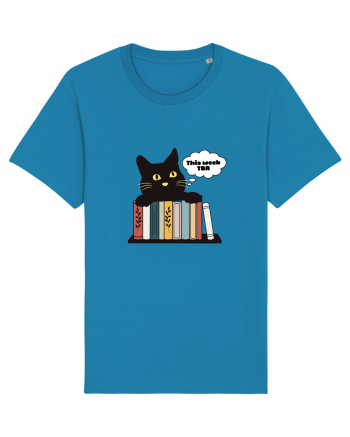 Bookish cat Azur