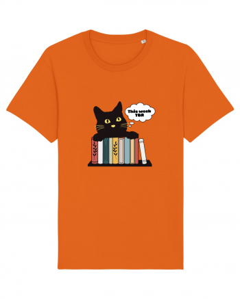 Bookish cat Bright Orange