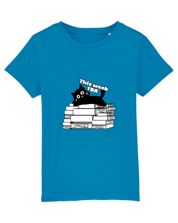 Bookish cat Azur