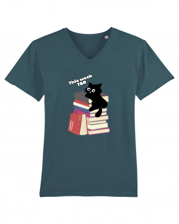 Bookish cat Stargazer