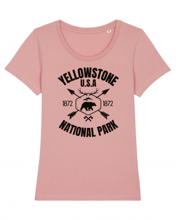 Yellowstone National Park Canyon Pink