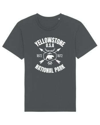 Yellowstone National Park Anthracite