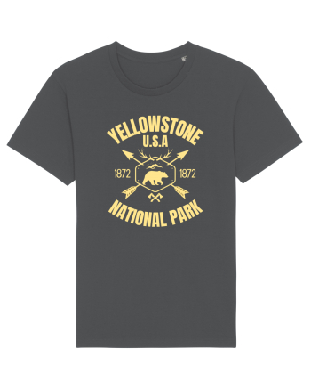 Yellowstone National Park Anthracite