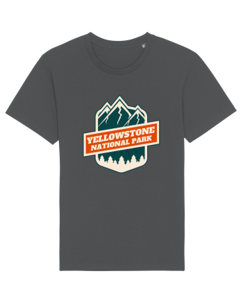 Yellowstone National Park Anthracite