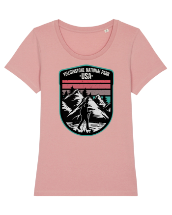 Yellowstone National Park Canyon Pink