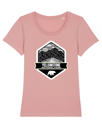 Yellowstone National Park Canyon Pink