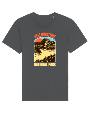 Yellowstone National Park Anthracite