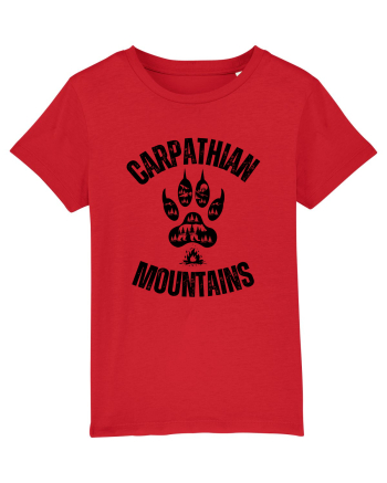 Carpathian Mountains.Muntii Carpati Red