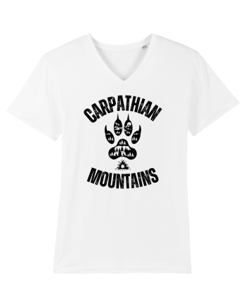 Carpathian Mountains.Muntii Carpati White