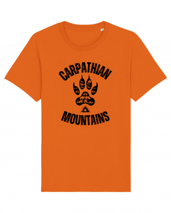 Carpathian Mountains.Muntii Carpati Bright Orange