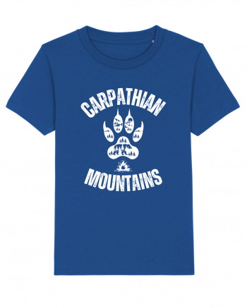 Carpathian Mountains.Muntii Carpati Majorelle Blue