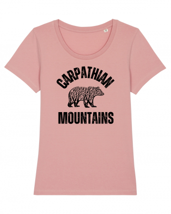 Carpathian Mountains.Muntii Carpati Canyon Pink