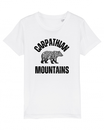 Carpathian Mountains.Muntii Carpati White