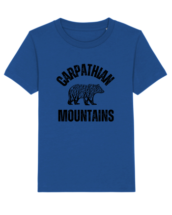Carpathian Mountains.Muntii Carpati Majorelle Blue