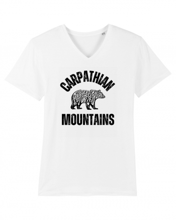 Carpathian Mountains.Muntii Carpati White