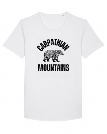 Carpathian Mountains.Muntii Carpati White