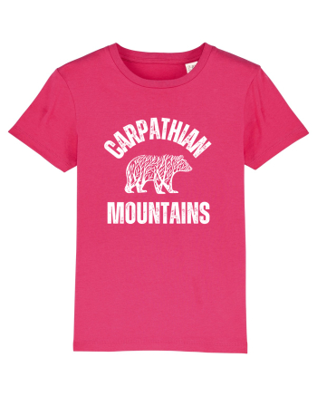 Carpathian Mountains.Muntii Carpati Raspberry