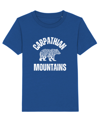 Carpathian Mountains.Muntii Carpati Majorelle Blue