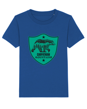Carpathian Mountains.Muntii Carpati Majorelle Blue