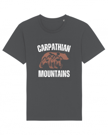 Carpathian Mountains.Muntii Carpati Anthracite