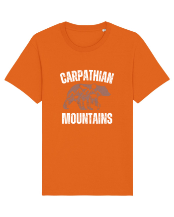 Carpathian Mountains.Muntii Carpati Bright Orange