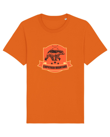 Carpathian Mountains.Muntii Carpati Bright Orange