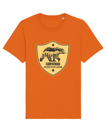 Carpathian Mountains.Muntii Carpati Bright Orange