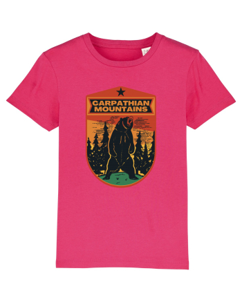 Carpathian Mountains.Muntii Carpati Raspberry