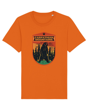 Carpathian Mountains.Muntii Carpati Bright Orange
