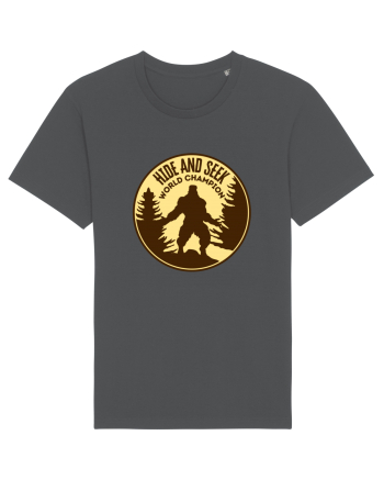 Bigfoot Hide And Seek World Champion Anthracite