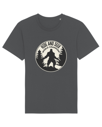 Bigfoot Hide And Seek World Champion Anthracite