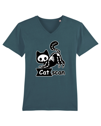 Cat Scan  Stargazer