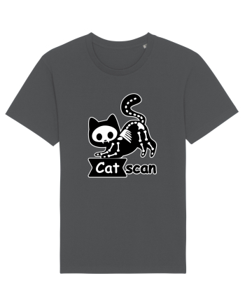 Cat Scan  Anthracite