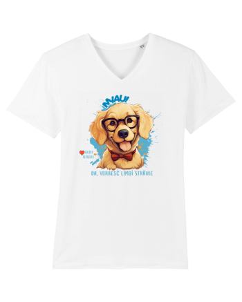 MIAU! DA, VORBESC LIMBI STRAINE - Retriever White