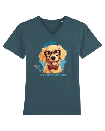 MIAU! DA, VORBESC LIMBI STRAINE - Retriever Stargazer