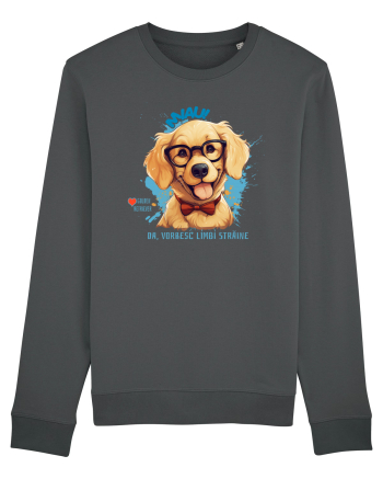 MIAU! DA, VORBESC LIMBI STRAINE - Retriever Anthracite