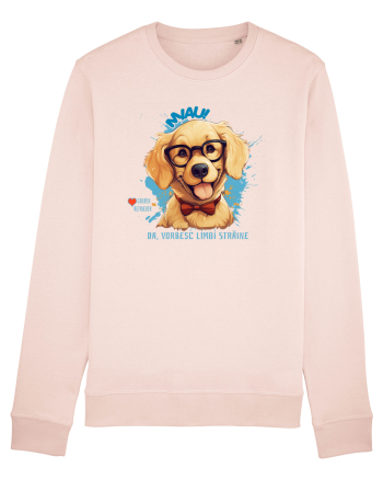 MIAU! DA, VORBESC LIMBI STRAINE - Retriever Candy Pink