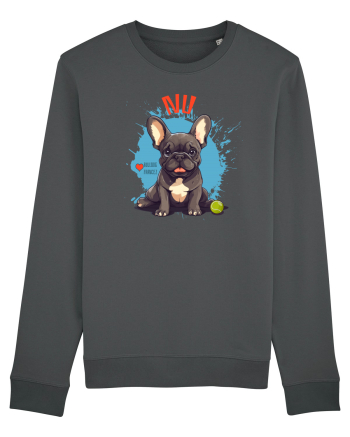NU -  Bulldog Francez Anthracite