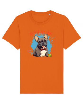 OH LA LA, BON JOUR -  French Bulldog Bright Orange